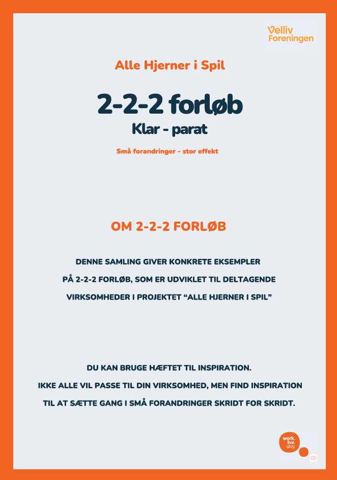 Skærmbillede 2026 07 17 110410