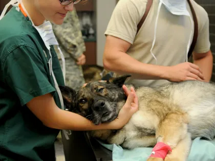 PraQtice modtager fondsstøtte fra velliv foreningen til dyrlægepraksis.jpg